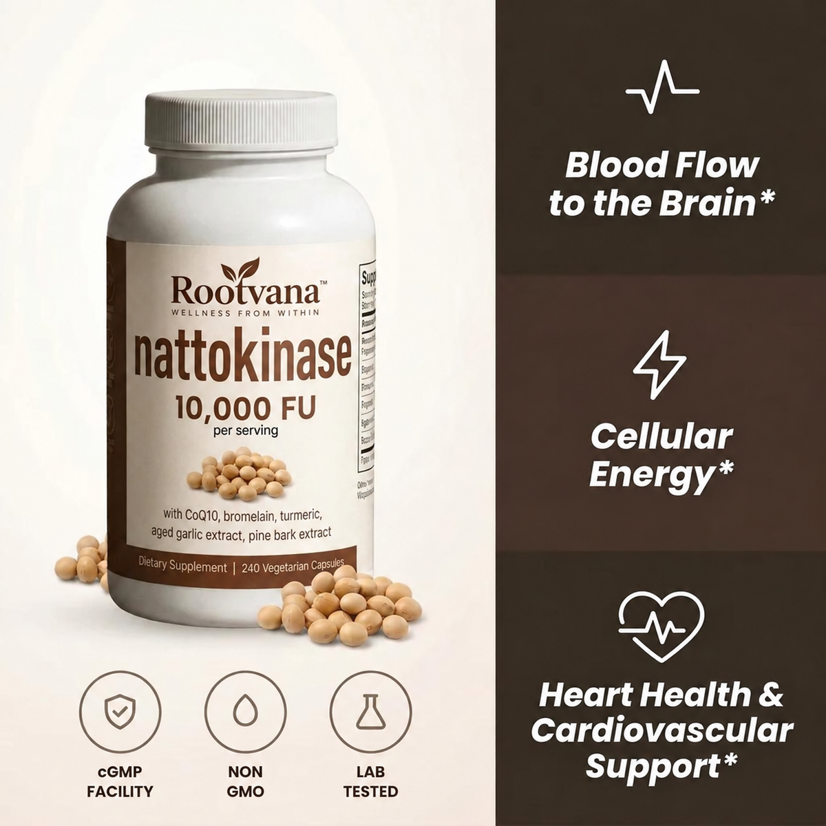 Nattokinase 10,000 FU