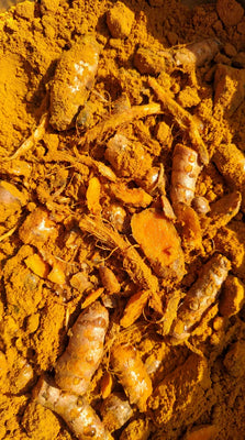 Turmeric