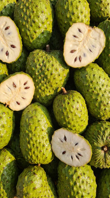 Soursop Leaf Extract