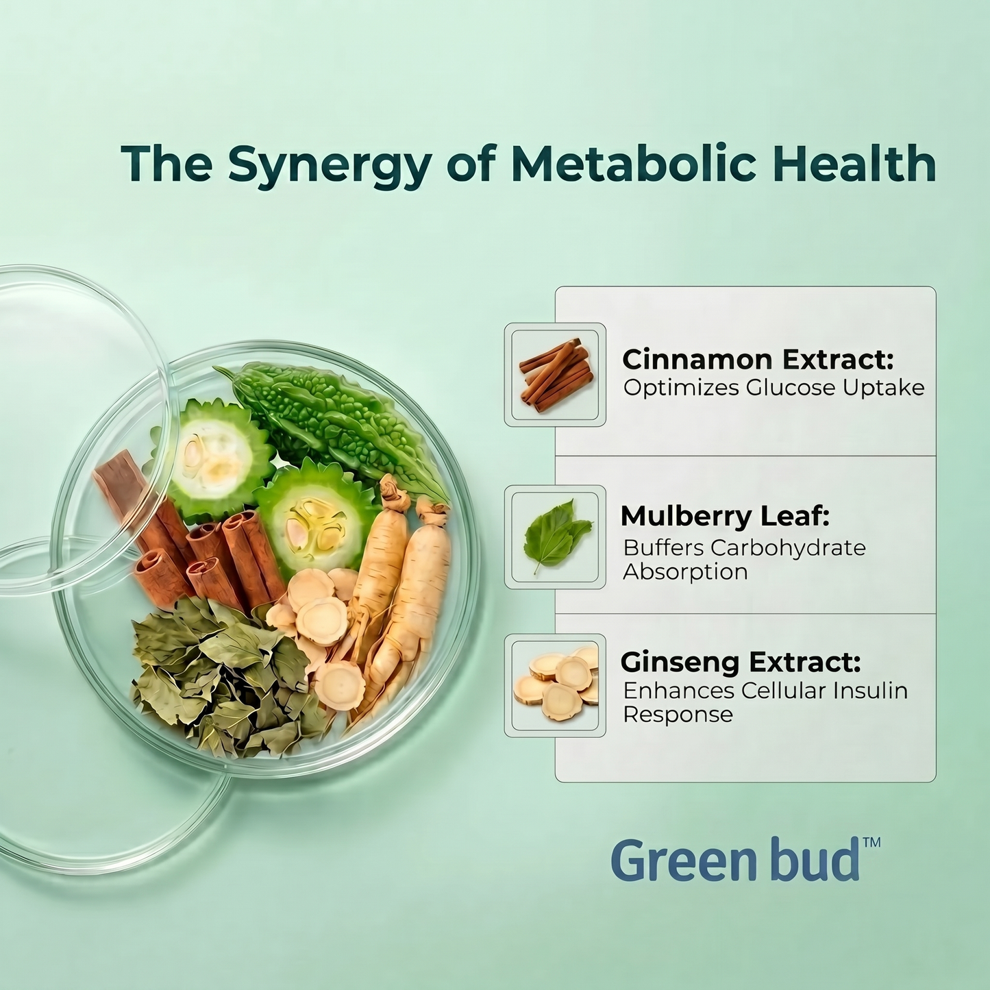 Bitter Melon & Cinnamon Extract – (45 Capsules)