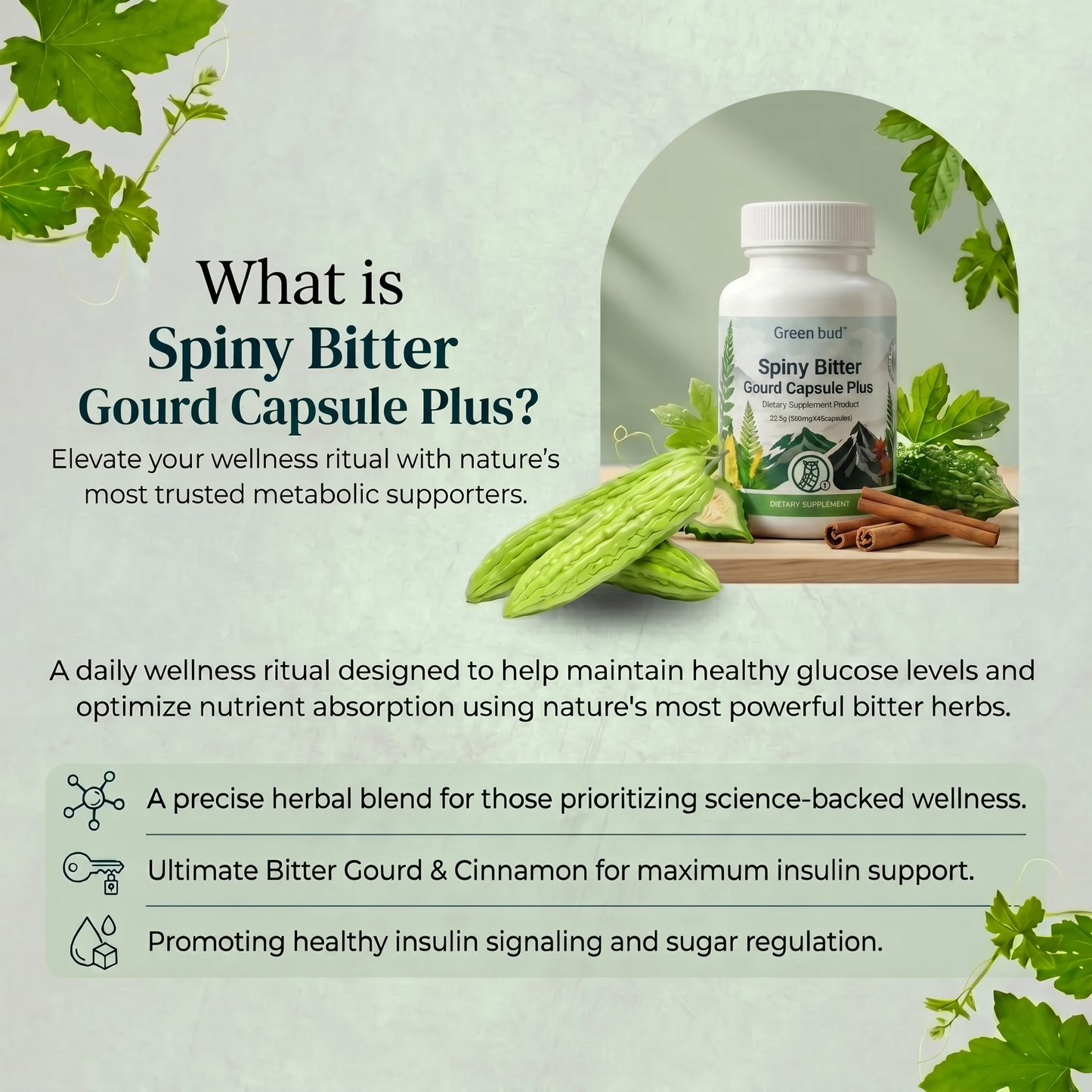 Bitter Melon & Cinnamon Extract – (45 Capsules)