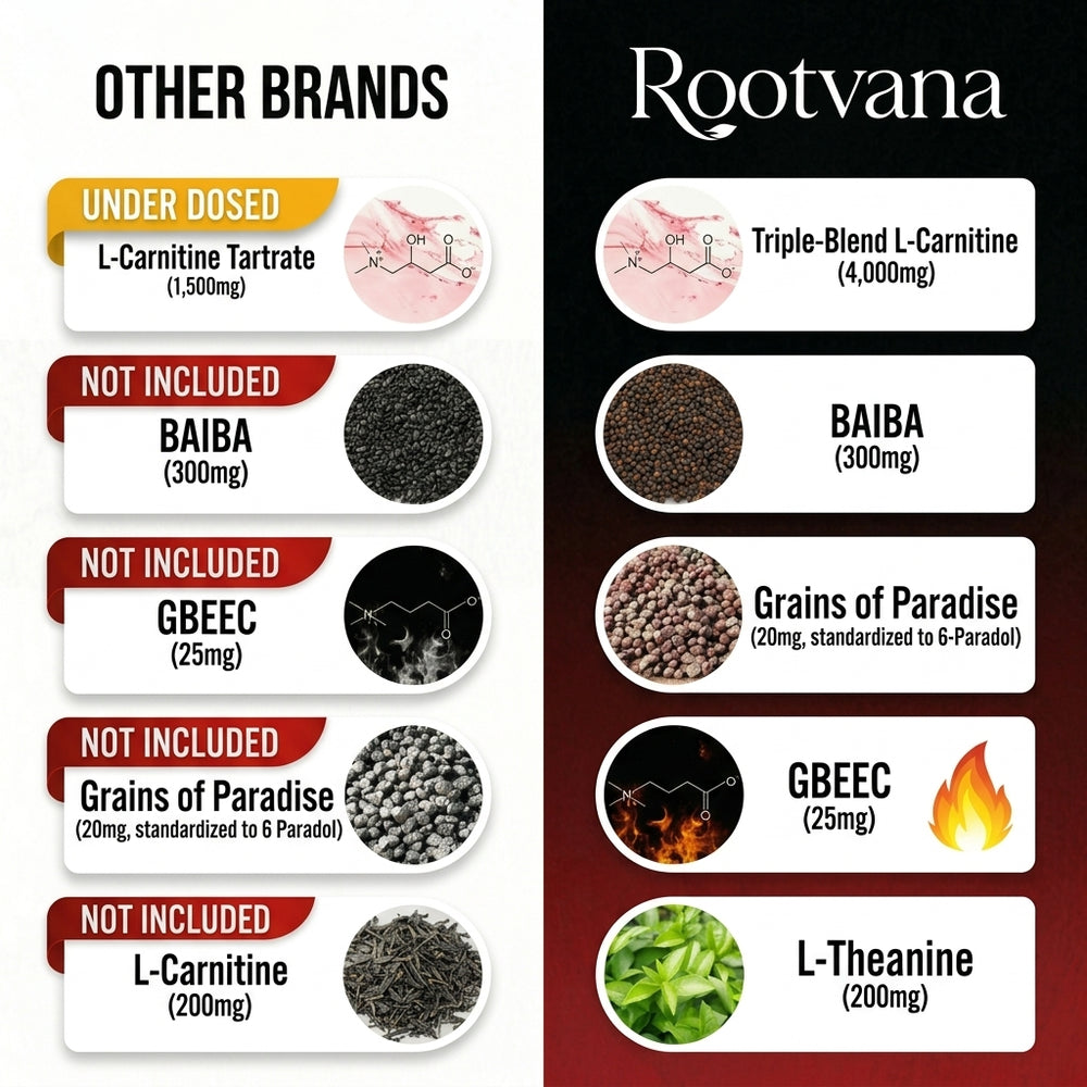 IT’S NOT JUST L-CARNITINE. THERE ARE 5 KEY INGREDIENTS MOST BRANDS DON’T INCLUDE.